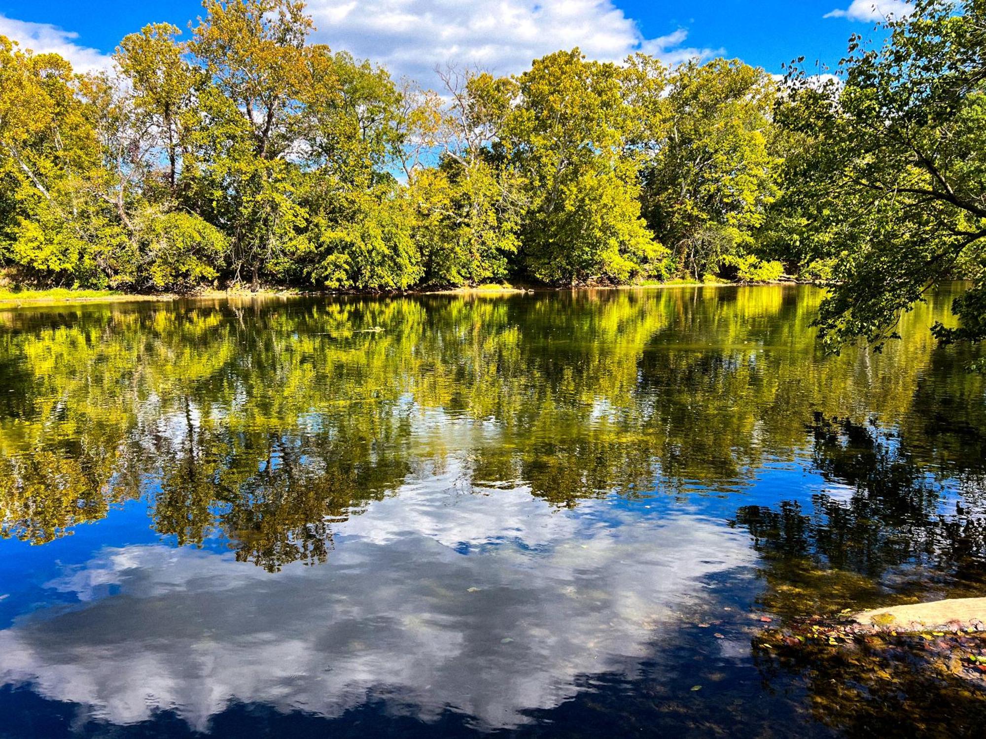 Luray Rv Resort On Shenandoah River Exterior foto